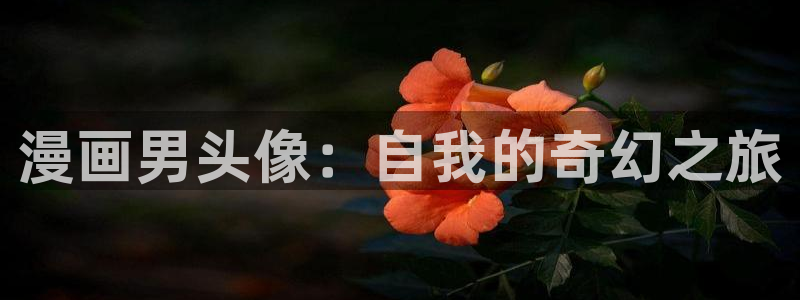 香香漫画韩漫
