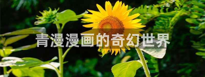 香香漫画官方在线阅读免费